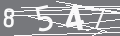 capsa